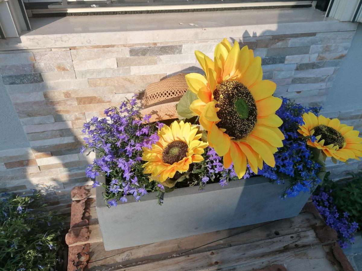 Casa Rosa Abruzzo Bed & Breakfast Musellaro Екстериор снимка